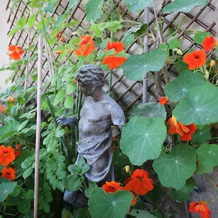 La Maison De Petit Thomas Bed & Breakfast *