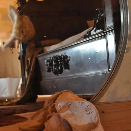 Bed & Breakfast La Maison De Petit Thomas